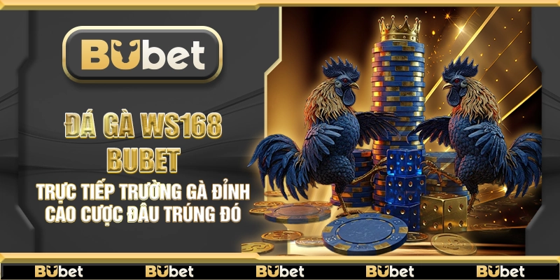 Đá gà WS168 Bubet – Trực tiếp trường gà đỉnh cao cược đâu trúng đó