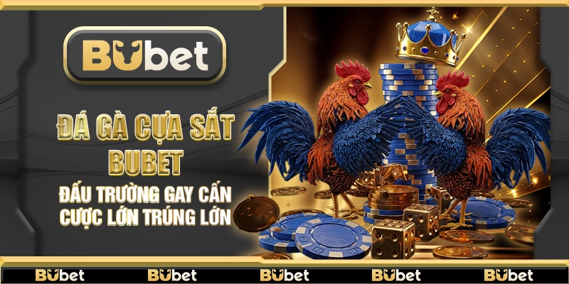Đá gà cựa sắt Bubet – Đấu trường gay cấn cược lớn trúng lớn