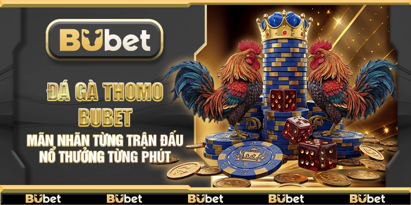 Đá gà Thomo Bubet – Mãn nhãn từng trận đấu nổ thưởng từng phút