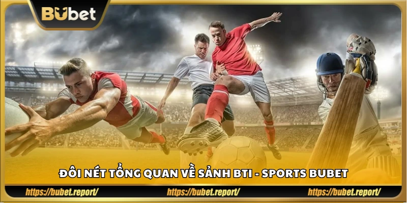 Giới thiệu khái quát về nền tảng BTI Sports Bubet