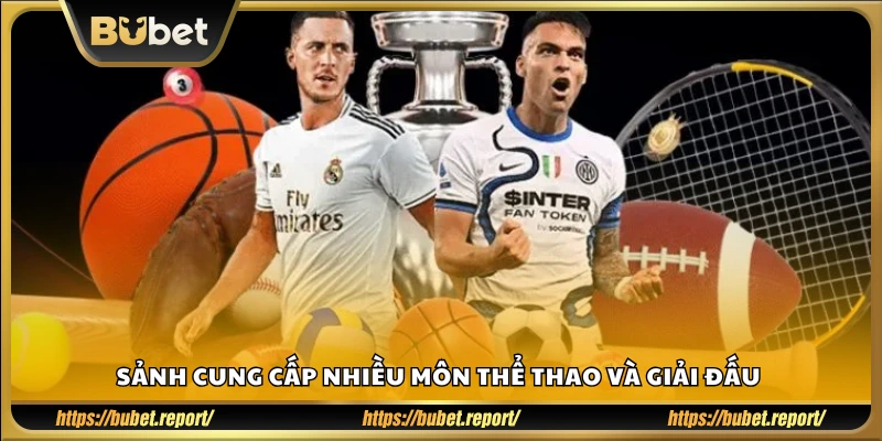 Hệ thống hỗ trợ đa dạng bộ môn và giải đấu lớn nhỏ