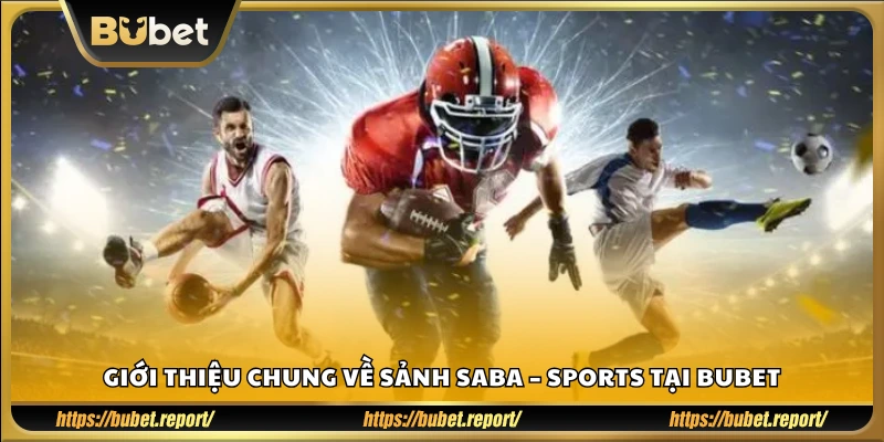 Tổng quan sảnh cá cược SABA Sports tại Bu Bet