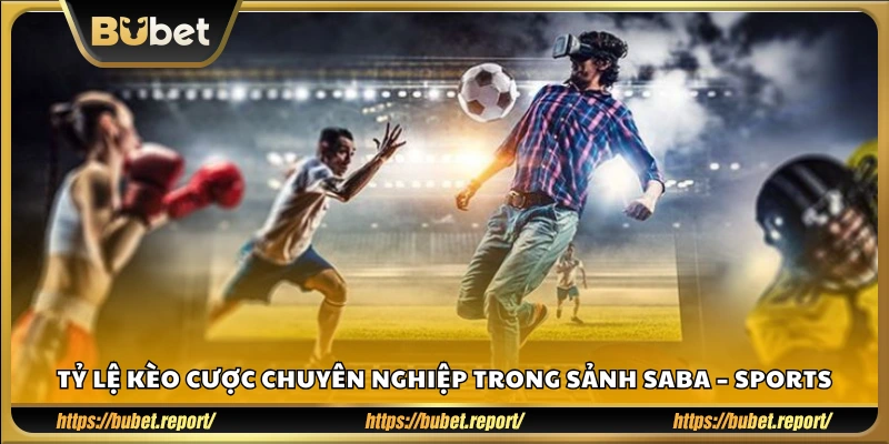 SABA cung cấp tỷ lệ cược minh bạch, chuẩn xác từng giây