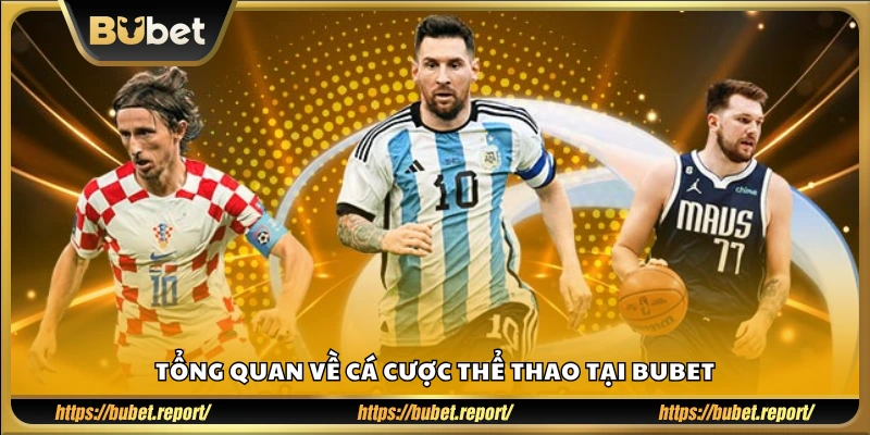 Khái quát cách chơi và sảnh thể thao nổi bật