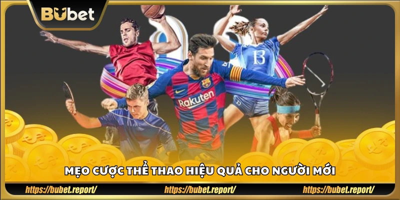 Bí kíp cá độ thể thao giúp người mới dễ thắng