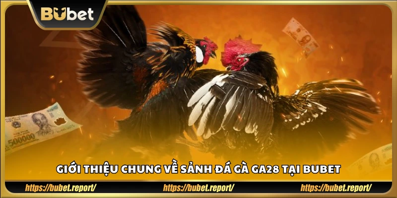 Tổng quan về sảnh GA28 đá gà trực tuyến trên Bubet