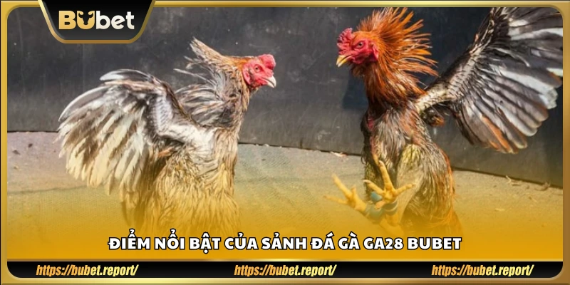 Những tính năng đặc sắc chỉ có ở GA28