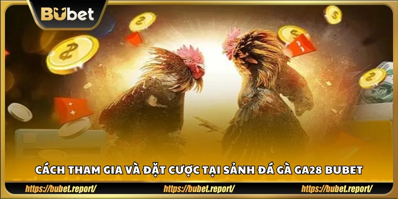 Hướng dẫn chi tiết cách chơi tại sảnh đá gà GA28