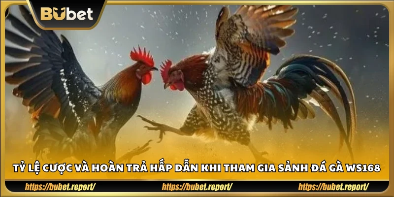 Mức kèo và hoàn tiền khi chơi tại WS168