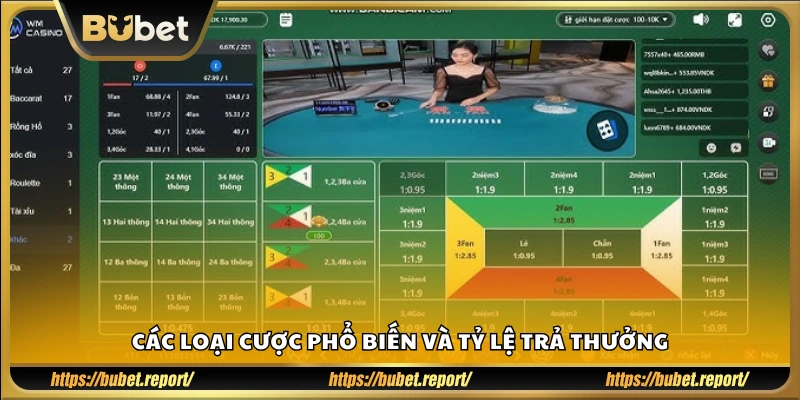 Các hình thức cược thường gặp và mức thưởng tương ứng