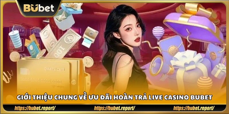 Tổng quan chương trình hoàn trả Live Casino tại Bu Bet