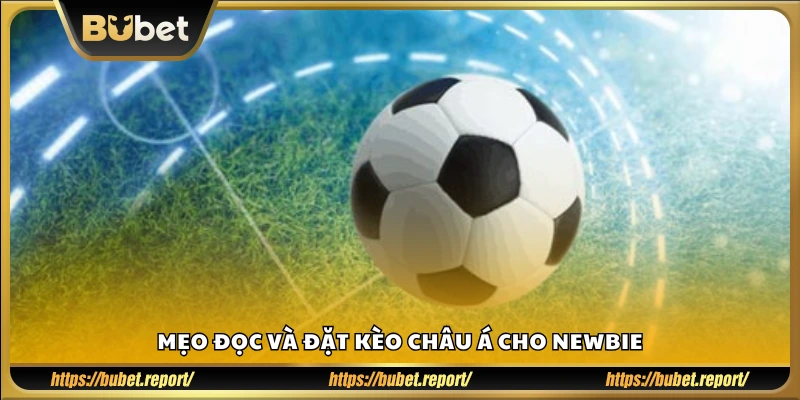 Hướng dẫn đặt cược kèo châu Á hiệu quả