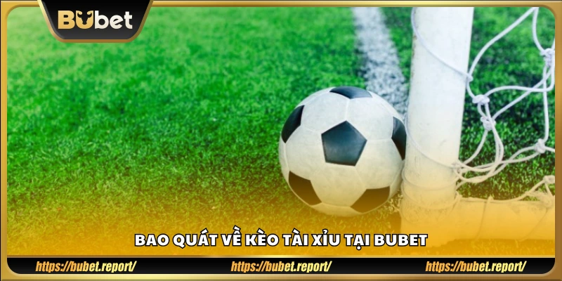 Giới thiệu cơ bản về loại kèo tài xỉu