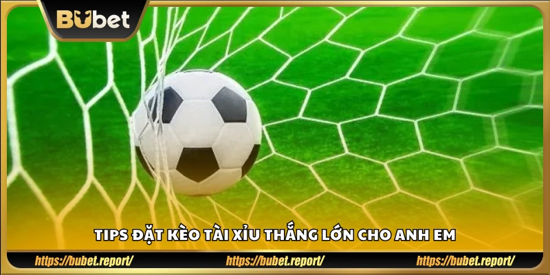 Mẹo soi kèo tài xỉu hiệu quả tăng tỷ lệ thắng