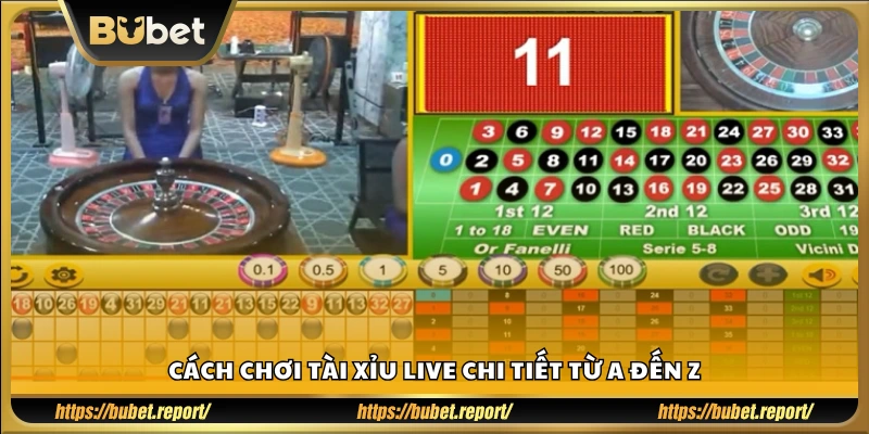 Hướng dẫn chi tiết toàn bộ quy trình chơi tài xỉu live